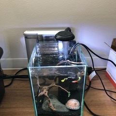 水槽セット※熱帯魚含まずの画像