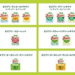 ゼスプリ　キャンペーン　2025 シール　応募券　特大　フィギュア　レアの画像