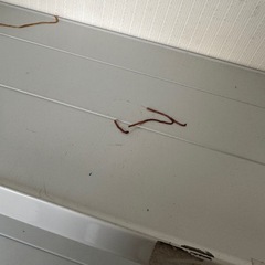 業務用　棚2本　引き取り限定の画像