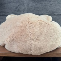 ディズニー Disney くまのプーさん 被り物 帽子 ファンキャップ もこもこ ベージュ パステルカラー なりきりの画像