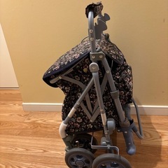 シルバカー
の画像