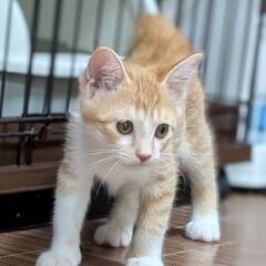とにかく元気！名前も元気くん