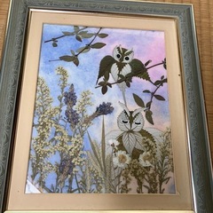 額縁　5つの画像