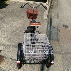 大人用三輪車の画像
