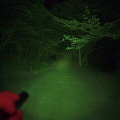 Convoy S2+ (CSLNM1.F1 Green)の画像