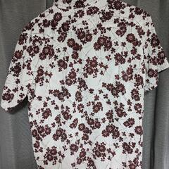 半袖シャツの画像
