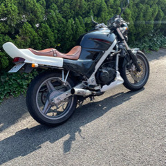 VTZ250 MC15の画像