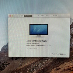 ★ 良品 ★ Apple LED Cinema Display 27Inchの画像