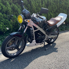 VTZ250 MC15の画像