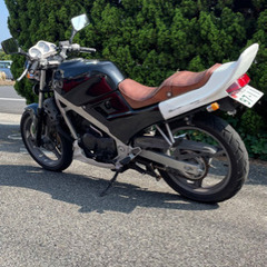 VTZ250 MC15の画像