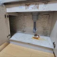 ホウスクリーニングの画像
