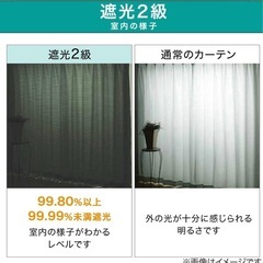 最終価格！【美品】シマエナガ　遮光2級 ドレープカーテン グレー【ニトリ】　丈200cmの画像