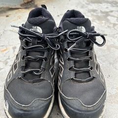 THE NORTH FACE ゴアテックス の画像