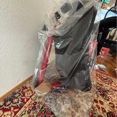 健康グッズ　無償で　本日限定の画像