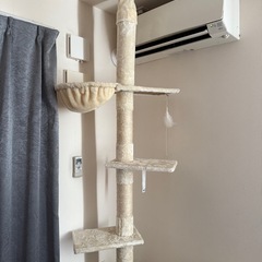 ほぼ新品！キャットタワーの画像