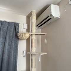 ほぼ新品！キャットタワーの画像