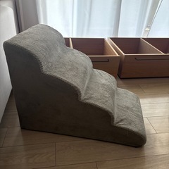 ドッグステップ　の画像