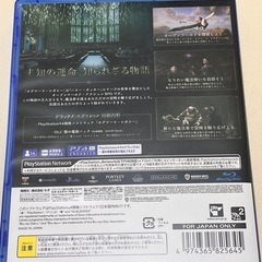 ホグワーツレガシーの画像