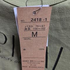 Ｔシャツワンピースの画像