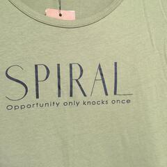 Ｔシャツワンピースの画像