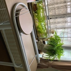 収納付きナチュラル系カウンターデスクの画像