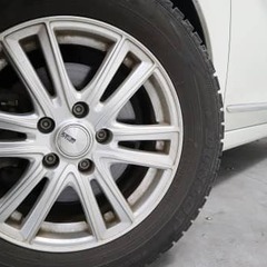 お買い求めやすいティアナの画像
