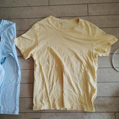Tシャツ４枚ｌLの画像