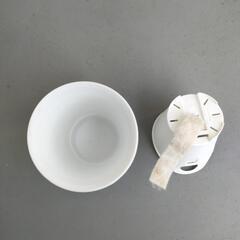 （9/7まで受付）無印良品　素焼のポット（観葉植物用）の画像