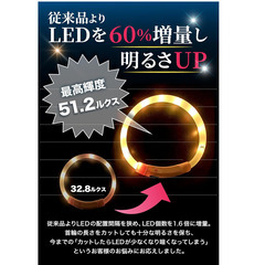 アマゾンベストセラー　１位v【獣医師監修】光る首輪 犬用 LEDライト USB-C充電式 防水 軽量26g 散歩用 安全グッズ 小型犬向け レインボー 35cm（メディホームプラス）の画像