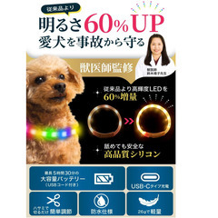 アマゾンベストセラー　１位v【獣医師監修】光る首輪 犬用 LEDライト USB-C充電式 防水 軽量26g 散歩用 安全グッズ 小型犬向け レインボー 35cm（メディホームプラス）の画像