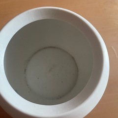 お取引中！植木鉢ポット の画像