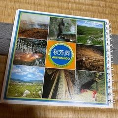 秋芳洞全集　サイズ15✖️15の画像