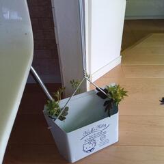 キティちゃんスタンドちりとり値下げの画像