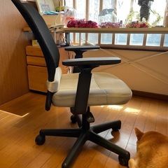 椅子の画像