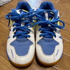 ヨネックス　シューズ　22.5cmの画像