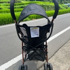 バギー　　赤ちゃん
の画像