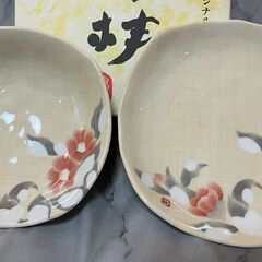 片岡鶴太郎オリジナル 美濃焼 ③「雪椿」浅皿・平皿セット ２組の画像