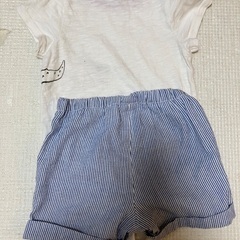 petit main 80の画像