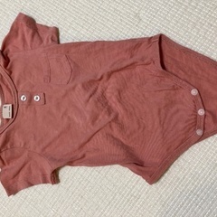 petit main 80の画像