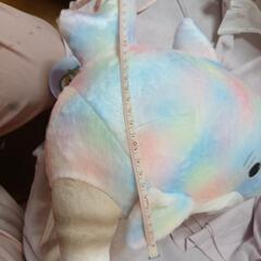 パステルサメにゃんの画像