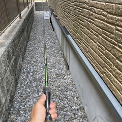 釣りの画像