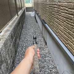 釣りの画像
