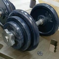 0817-248 ダンベル　計18kg×2個の画像