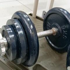 0817-248 ダンベル　計18kg×2個の画像