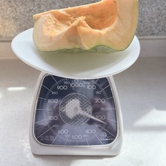 畑で完熟　一番なりかぼちゃ🎃の画像