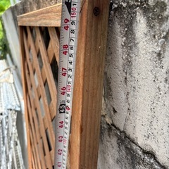 ラティス　の画像