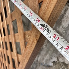 ラティス　の画像