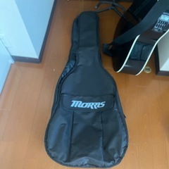 Morris　アコースティックギターの画像
