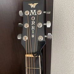 Morris　アコースティックギターの画像