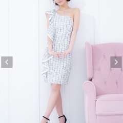 【未使用】キャバドレスの画像
